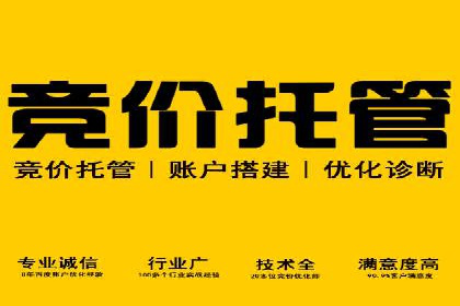 某知名品牌SEM优化托管的策略与成果